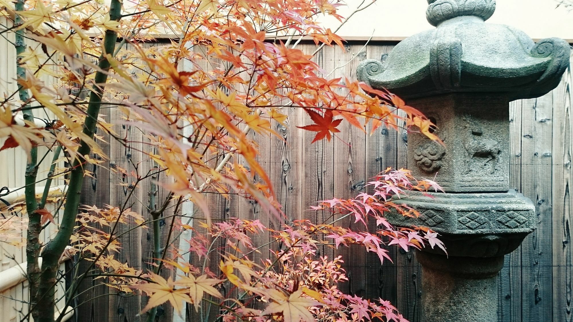 Guest House Bokuyado Kyoto Dış mekan fotoğraf